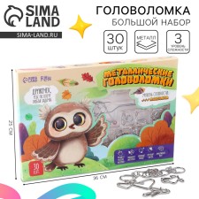 Metal puzzle 30 pcs 