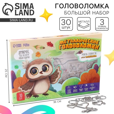 Metal puzzle 30 pcs "owl"