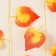 Decor "Girland from the leaves" Length: 2.4 m, width: 23 cm, yellow-red color