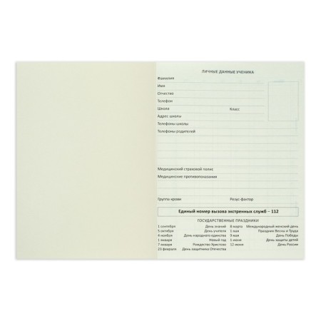 Universal diary for grade 1-11 Croco Feel Inspired, solid cover, artificial leather, foil embossing, liesse, 48 sheets-6