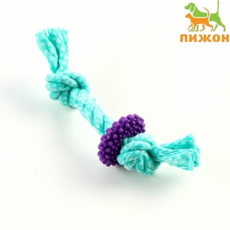 Chewing toy "gear on a rope", up to 20 cm, turquoise