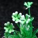 Artificial aquarium plant, 3 x 9 cm, green