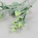 Artificial plant for the creativity of "diplomatic" set of 6 pcs 12 cm