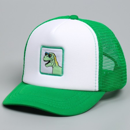 Children's cap for the boy "Cool Dino", rr 52-54 5-7 years-1