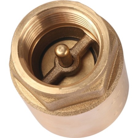 Reverse valve Stout SVC-0011-000025, 1 ", spring, coupling, with a metal saddle-1