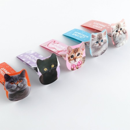 Cardboard Cardboard Set 5 pcs, voluminous "Open the world of knowledge"-1