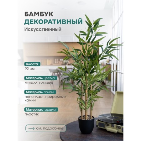 Bamboo in a plastic pot, 135 × 135 × 920 mm, green / black / beige color