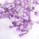 Artificial flowers "cotton gypsophila" 60 cm, lilac