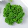 The moss stabilized "light green" 500 gr (+-5 gr).