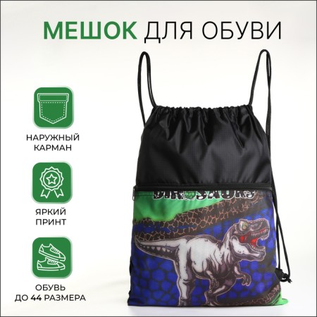 Bag for shoes on the lace, black color