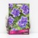 Gimalayan geranium "Plenum", 1 pc, rr I, spring 2025