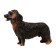 Figure "On the farm: long -haired dachshund"