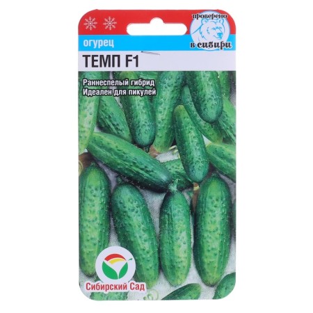 Cucumber seeds F1, parthenocarpic, 5 pcs