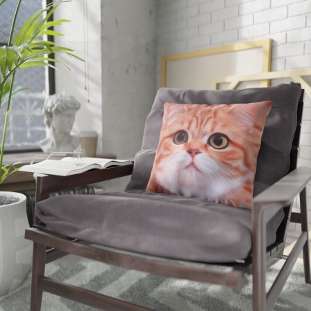 Decorative pillow "Usatik"-1