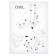 Set for creativity Sector 3d figures "Owl"