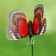 Plug "butterfly Delfius" 25cm, set 15pcs, mix