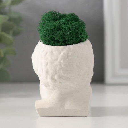 Kashpo concrete "Prometheus" height 6.5 cm, width 5 cm white with moss (moss green. Stabilizir)-2