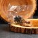A set of natural decor "Forest and spikelet", 11 objects, mix