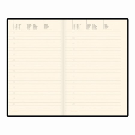 Diary of Leduced A5, 136 sheets of MEGAPOLIS FLEX SMART, Cover Artificial leather, Lasse, Block 70 g/m2, black-9