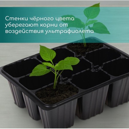 Cassette for seedlings, 9 cells, 80 ml, plastic, black, 18 × 13 × 6 cm, Greengo-4