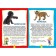 Cubs of animals. Photo book for the smallest