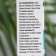 ZD Herbal Facial Balm, 50 ml