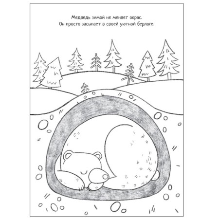 Cognitive coloring. Seasons-2