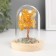 Souvenir "Cash tree in a flask" yellow 36 stones 7.8x7.8x10 cm