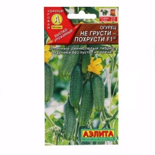 Seeds of cucumber 