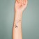 Black body tattoo “Black. Dolphin” 6x6 cm