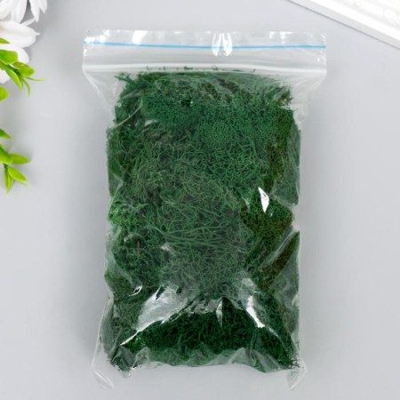 Stabilized moss "spruce" 45 grams (+-5 gr)-2