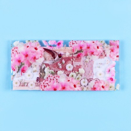 Money envelope "Universal!" Transparent PVC, bird, 16 x 8 cm