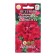 Flowers of Petunia "Carmen", 10 pcs
