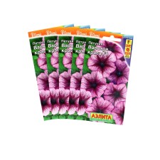 Flowers of Petunia 