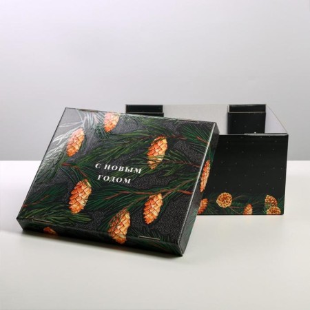 Folding box "cones", 31.2 x 25.6 x 16.1 cm, New Year-1