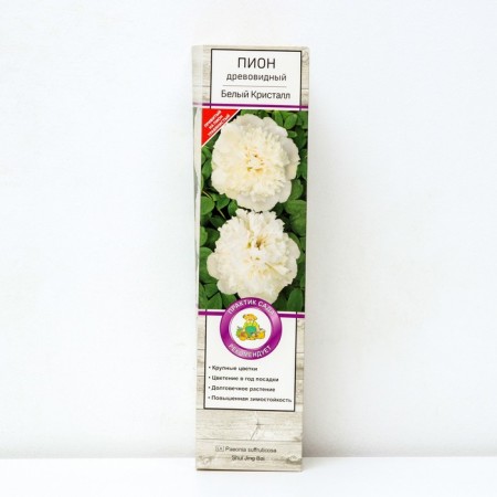 PION of tree -like (vaccinated for grassy) "white crystal", 1 pc, tube, spring 2025