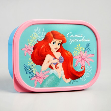 Lunch-Box rectangular, 500 ml, Ariel
