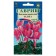 Flower seeds Cyclamen "Helga", Persian, 3 pcs.