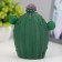 Strack "Cactus" LED 2W from 3XLR44 batteries green 11x6x13 cm Risalux
