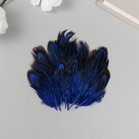 Decorative pheasant feather "Rice. Blue" set 20 pcs h = 5-7 cm
