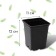 Pot for seedlings, 1 l, d = 11 cm, h = 12 cm, black