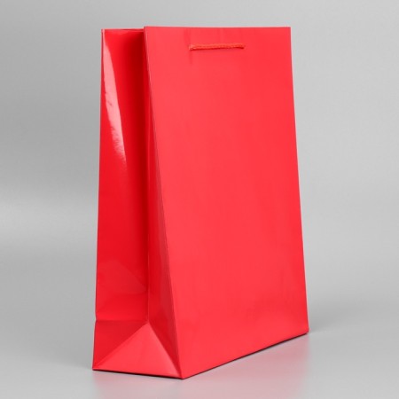 Gift laminated package, packaging, red, m 24 x 29 x 9 cm-5