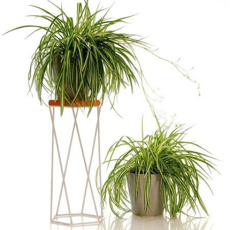 66-413 Standing for flowers 66-413 with wood 24x24x58 cm-1