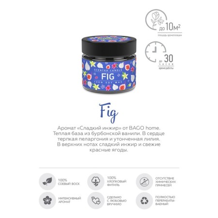 Aromatic candle in the Bank "Ripe Fig", Envisor Wax, 80 g-2