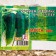 Cucumber seeds "Phoenix Super 640", 100 g