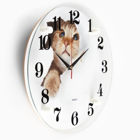 Watching clock, interior: animal world, "cat", d-30 cm, silent-1