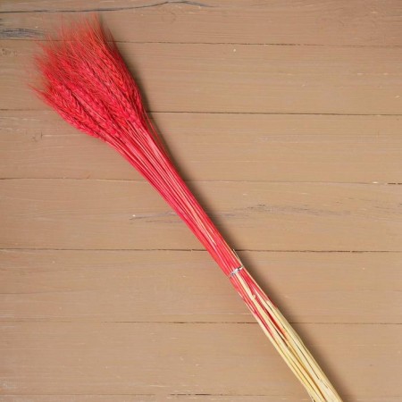 Dry Column of wheat, set 50 pcs., Red color-3