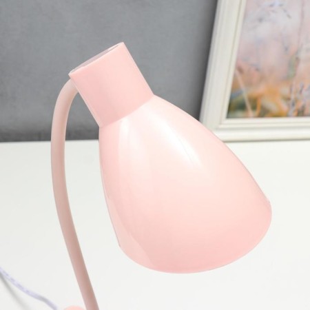 Highway lamp 16700/1PK E27 15W Direct pink Risalux-4