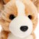 Soft toy "Velsh-Corgi dog", 20 cm