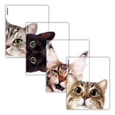 Set of covers for notebooks and diaries, PP 12 pcs, 212x347mm, 80 μm, Erichkrause 